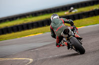 PJ-Motorsport-2019;anglesey-no-limits-trackday;anglesey-photographs;anglesey-trackday-photographs;enduro-digital-images;event-digital-images;eventdigitalimages;no-limits-trackdays;peter-wileman-photography;racing-digital-images;trac-mon;trackday-digital-images;trackday-photos;ty-croes